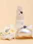 Ananta Bangle