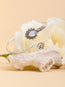 Ananta Bangle
