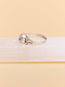 Lucia Ring