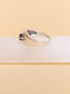 Compass Ring