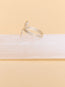 Awen Mini Ring